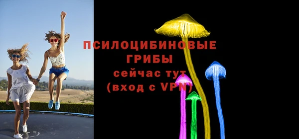 mix Белокуриха