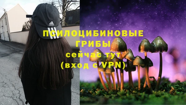 apvp Белоозёрский